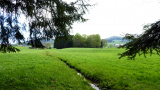 Blickrichtung Osten zur "Burg" Irrsee